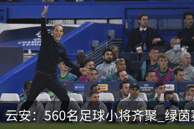云安：560名足球小将齐聚 绿茵赛场逐梦争锋